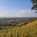 Bilder zum Wandertag am 27.10.2024 Bild 16798