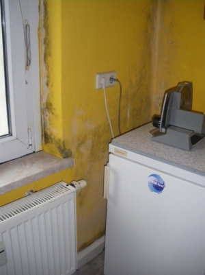 Feuchtigkeit und Schimmel in der Wohnung: Bild 15107