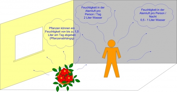 Schwitzende Fenster + Schimmel an Außenwand, trotz 3-4 Stoßlüften